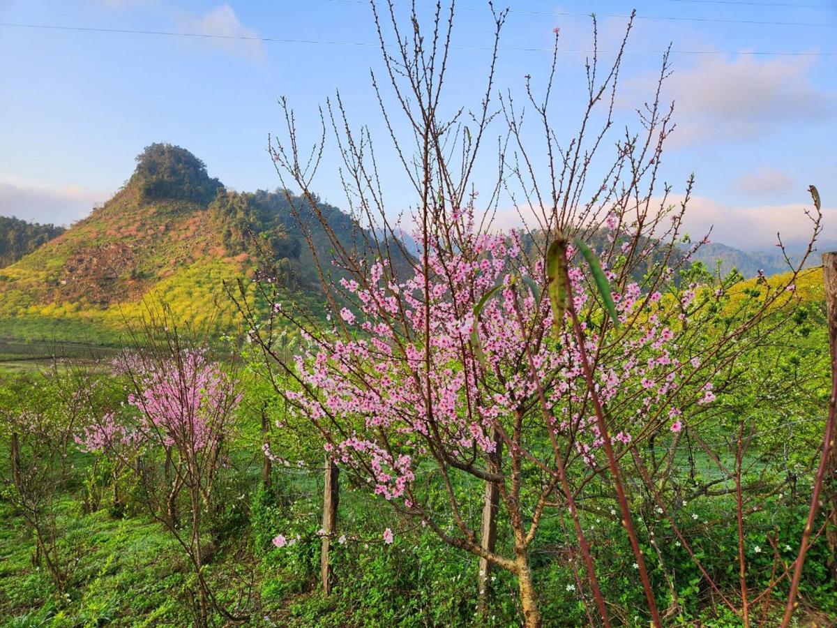 Апартаменти Moc Chau Peachy Garden Екстер'єр фото